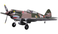 fms P-40B Flying Tiger