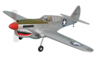 Phoenix Model P-40 kitty Hawk 
