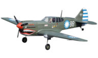 VQ Model Curtiss P-40