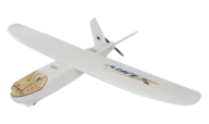 X-UAV Mini Talon