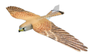 PLANEPRINT Falcon