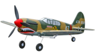 Skynetic P-40 Warhawk