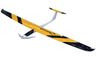 Staufenbiel Cheetah