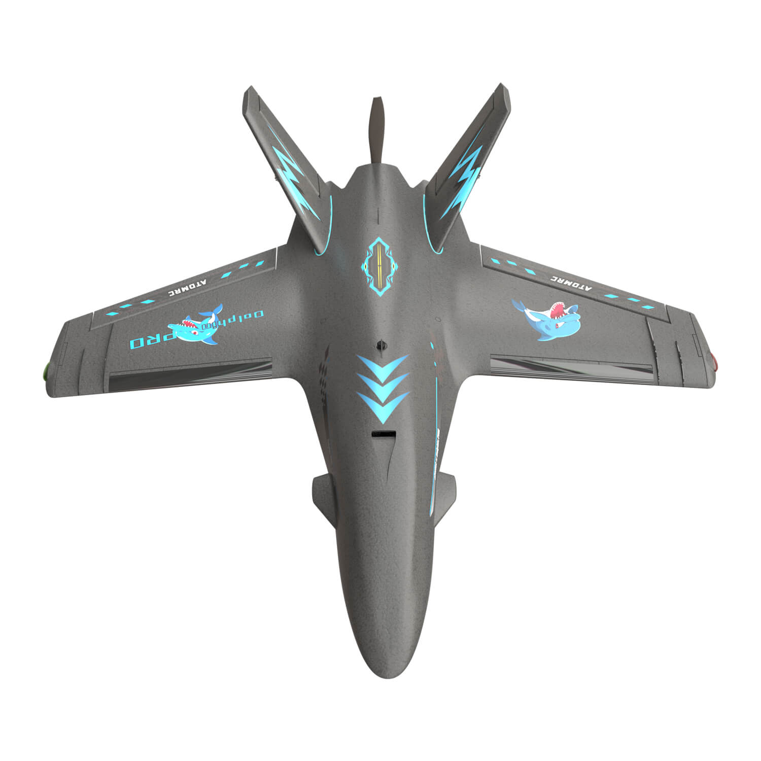 Dolphin Pro AtomRC
