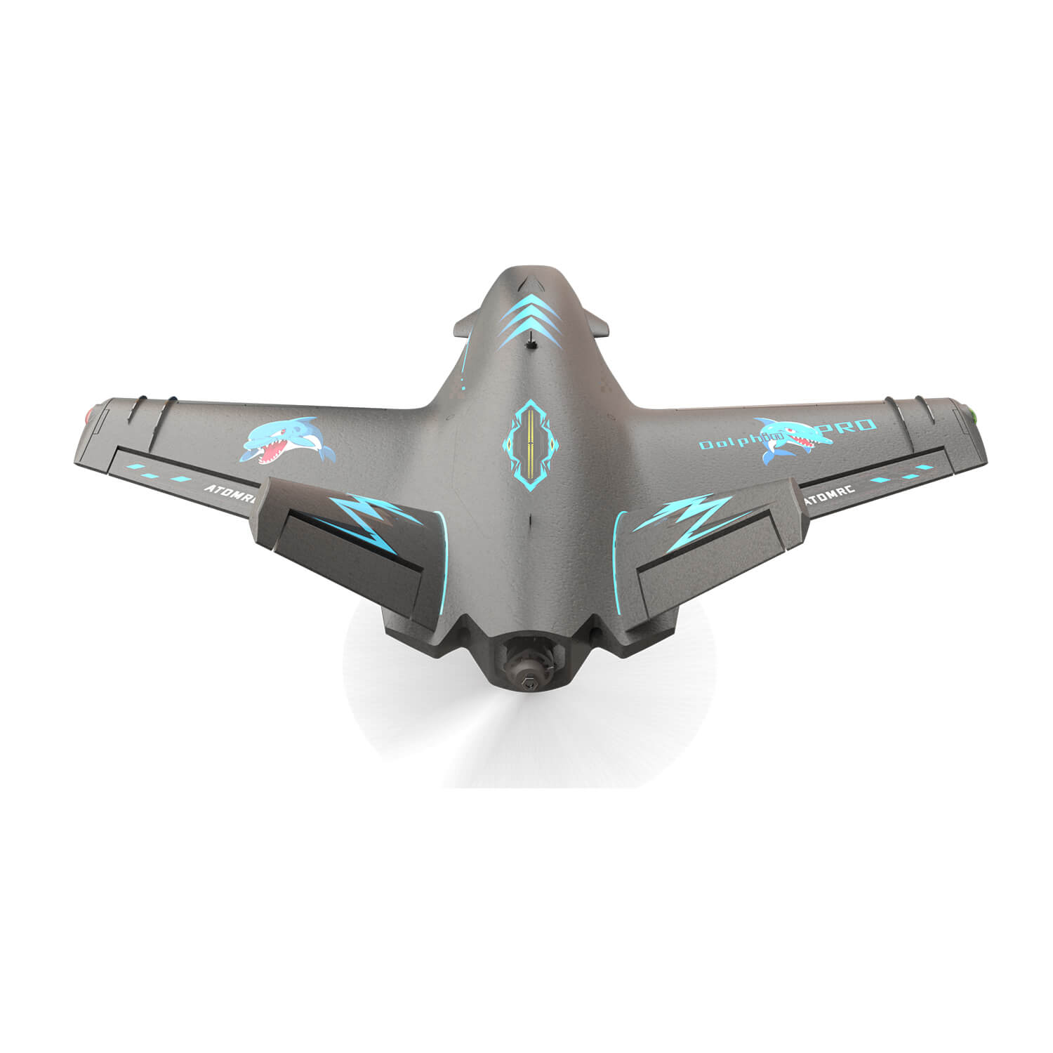 Dolphin Pro AtomRC