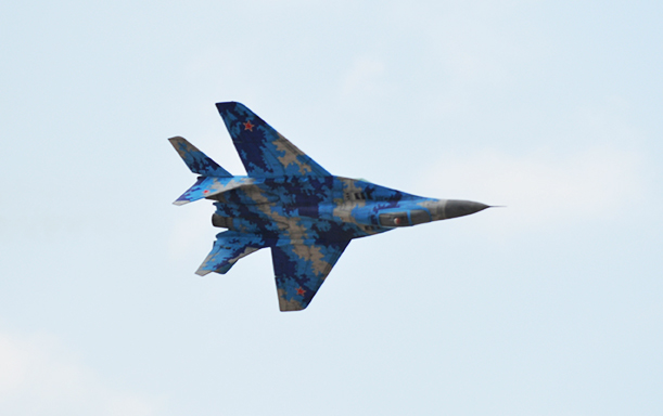 MiG-29 Black Horse Model