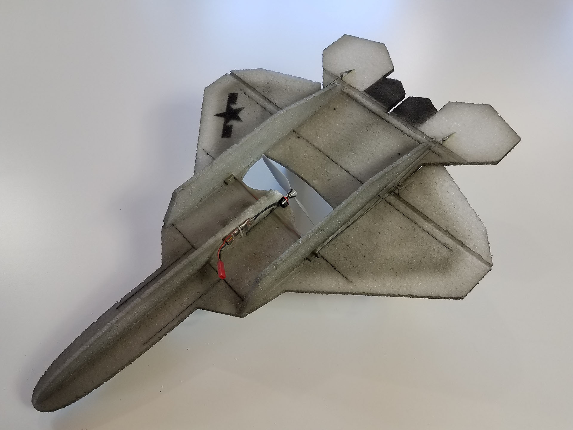 F-22 Gym Flyer Buzzard Models