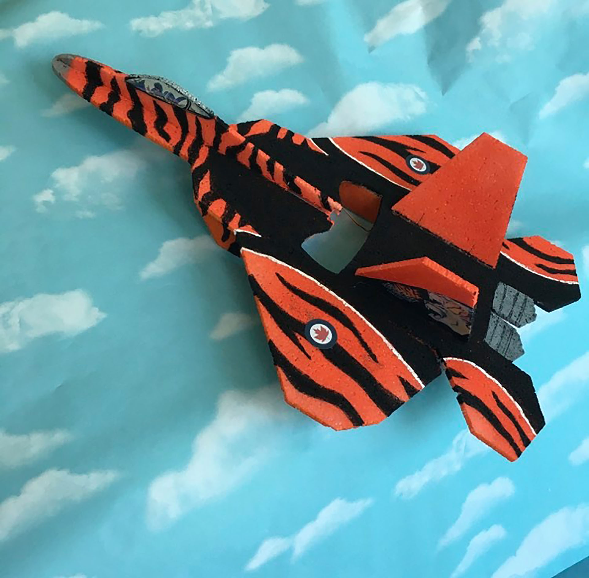F-22 Gym Flyer Buzzard Models