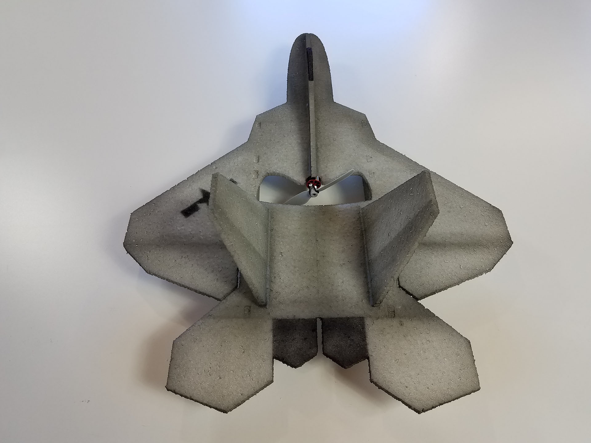 F-22 Gym Flyer Buzzard Models