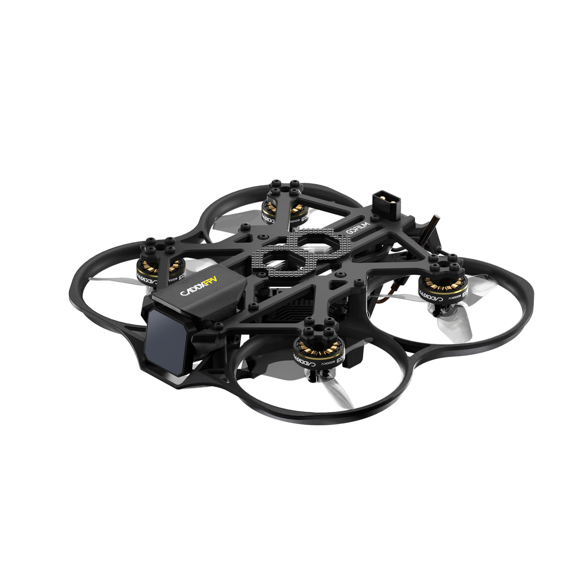 Gofilm 20 CADDX FPV