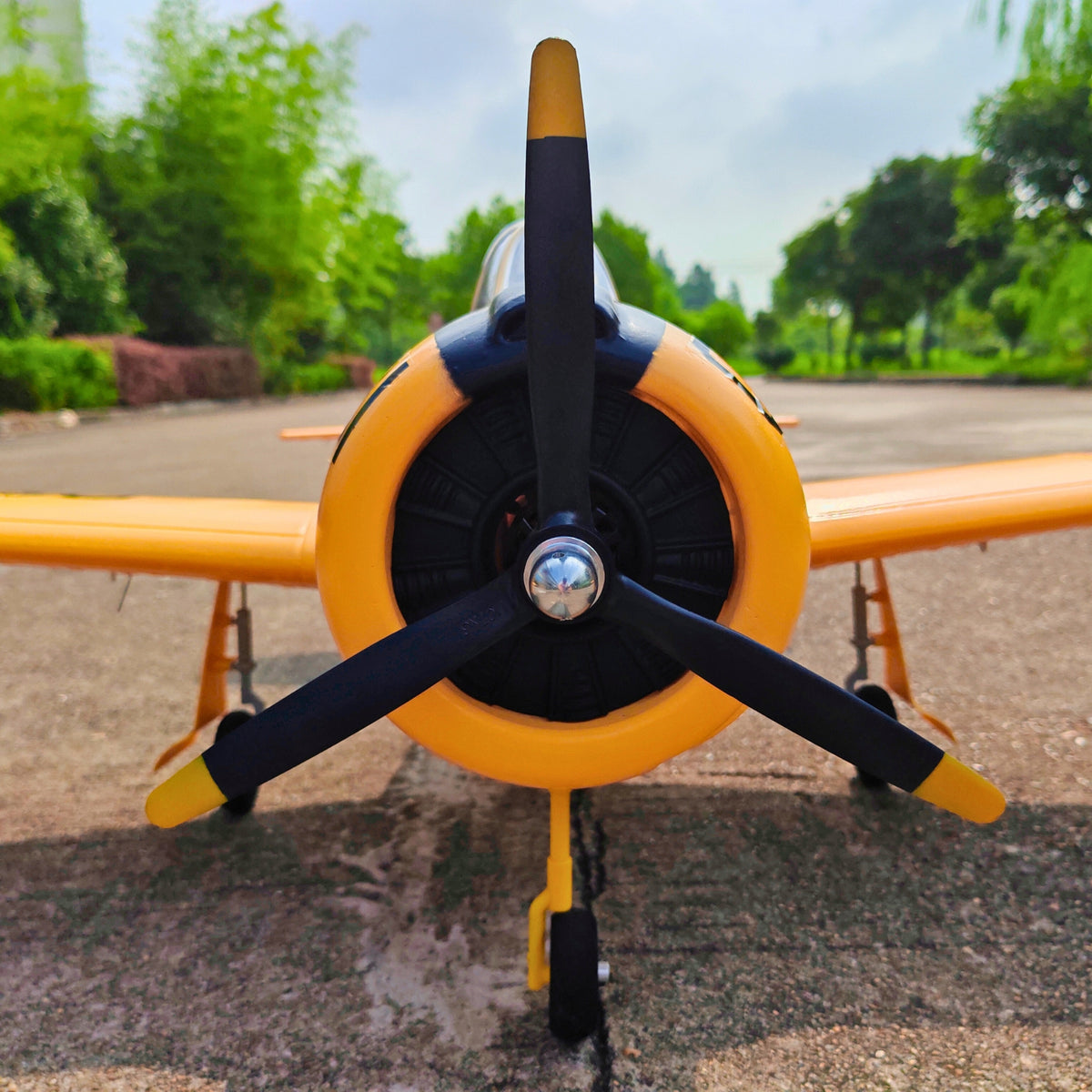 T-28 Trojan V2 Dynam