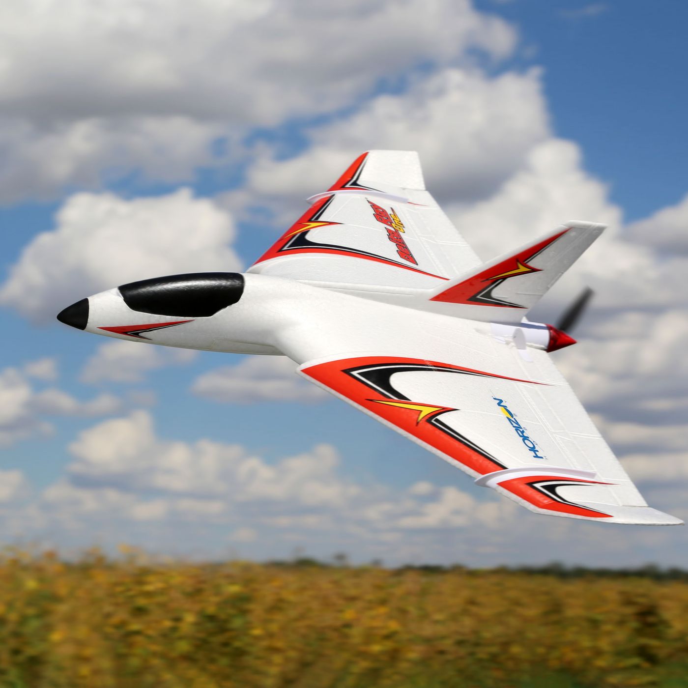 Delta Ray One E-flite