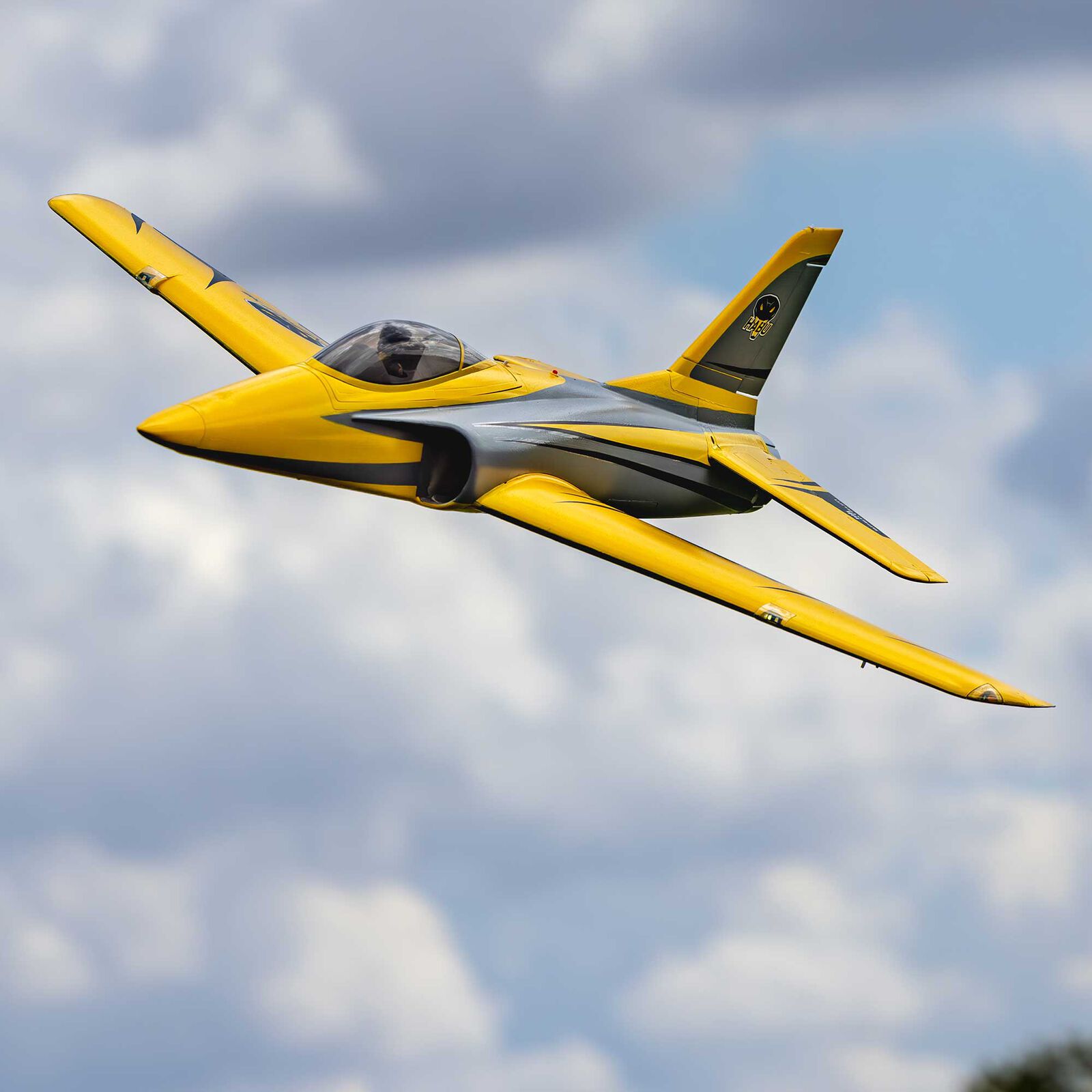 Habbu XS 80mm E-flite