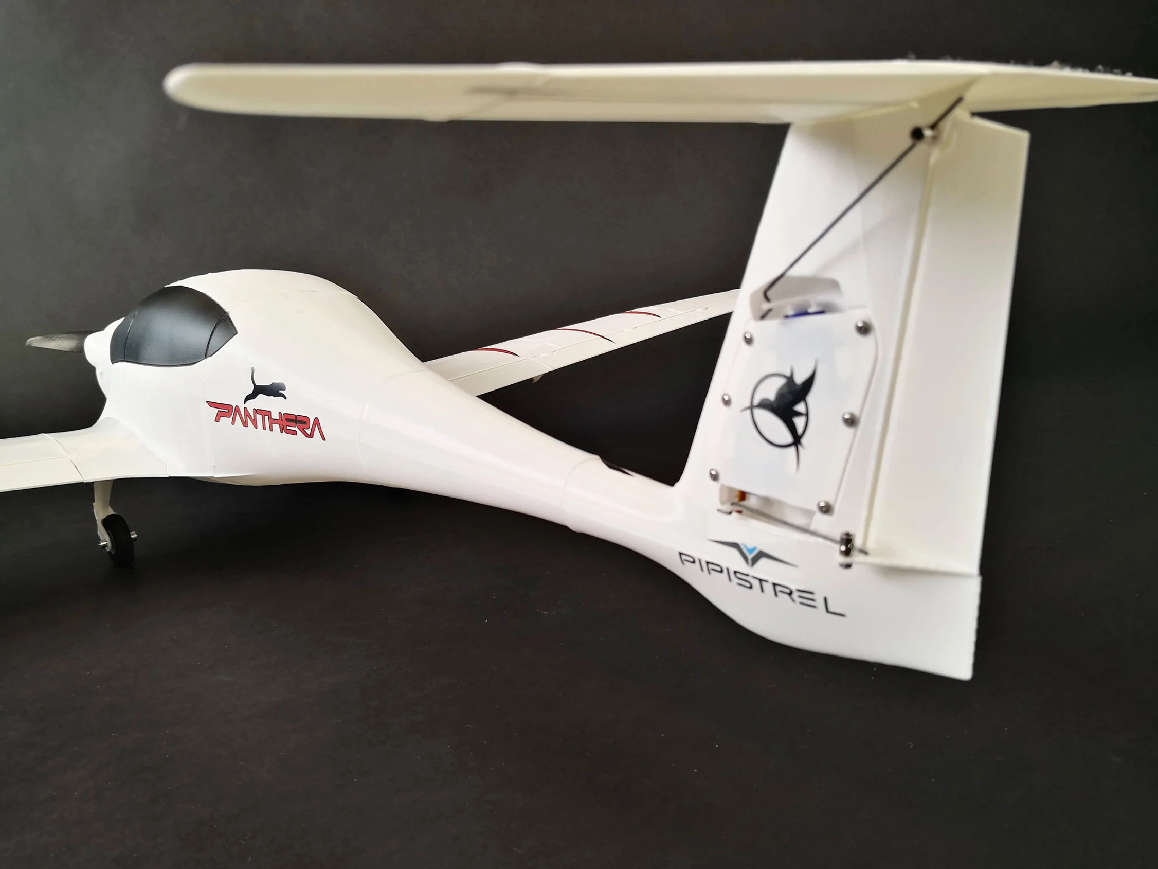 Panthera V2 Eclipson Airplanes