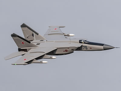 MiG-25 64mm FlyFlans Models