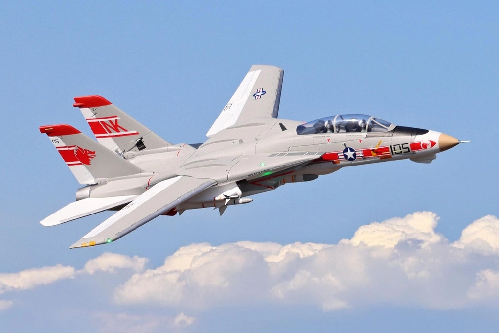 F-14 Tomcat Twin V2 64mm Freewing Model