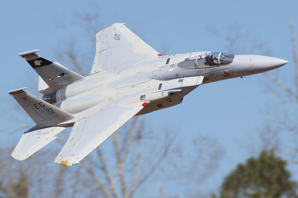 F-15C Eagle Freewing Model