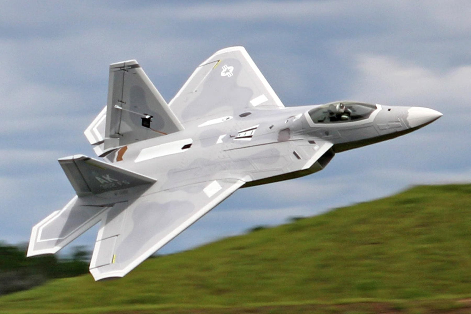 F-22 Raptor 70mm Freewing Model