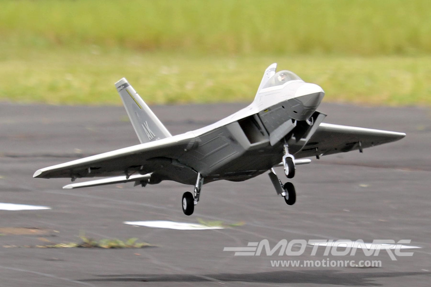 F-22 Raptor 70mm Freewing Model