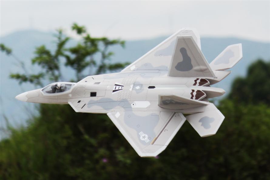 F-22 Raptor 64 mm Freewing Model