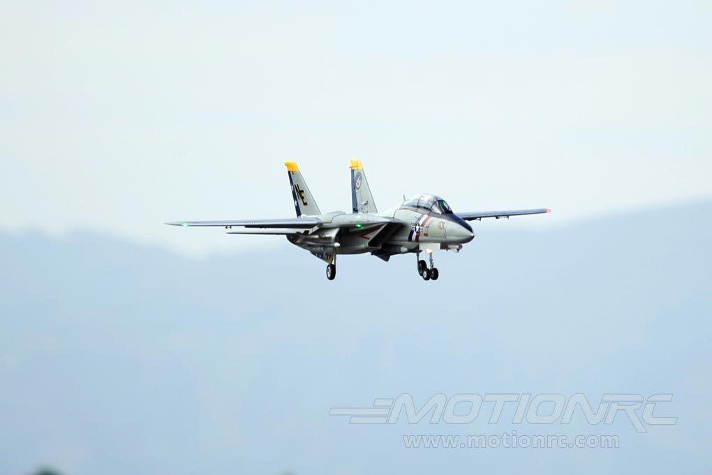 F14 Tomcat Freewing Model