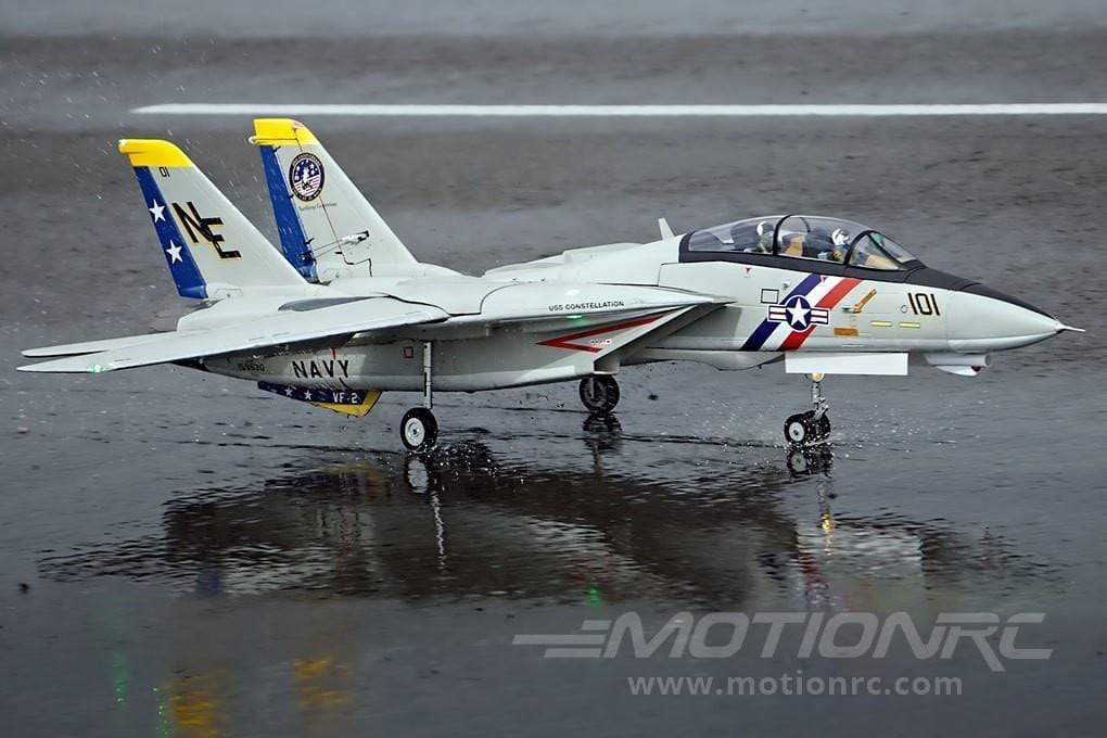 F14 Tomcat Freewing Model