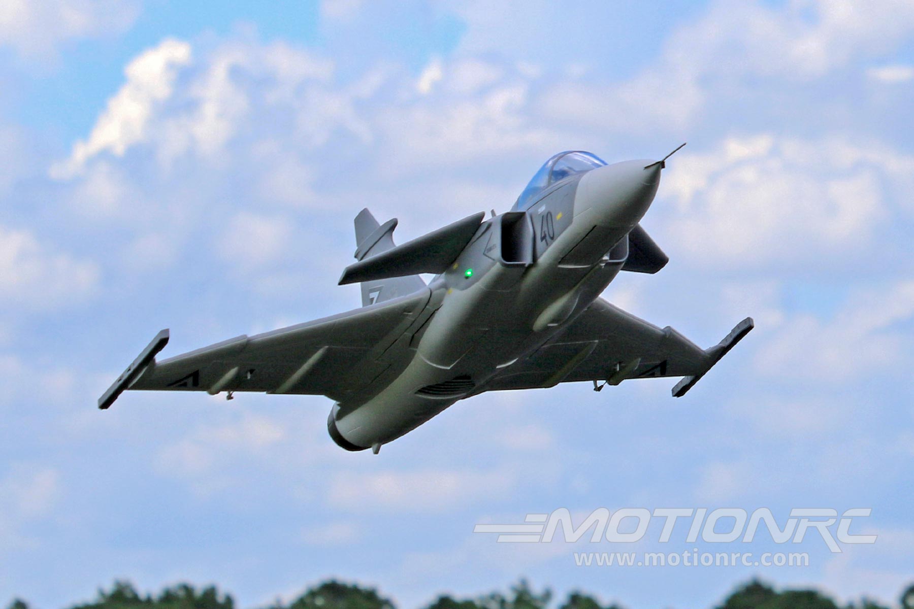 JAS-39 Gripen Freewing Model