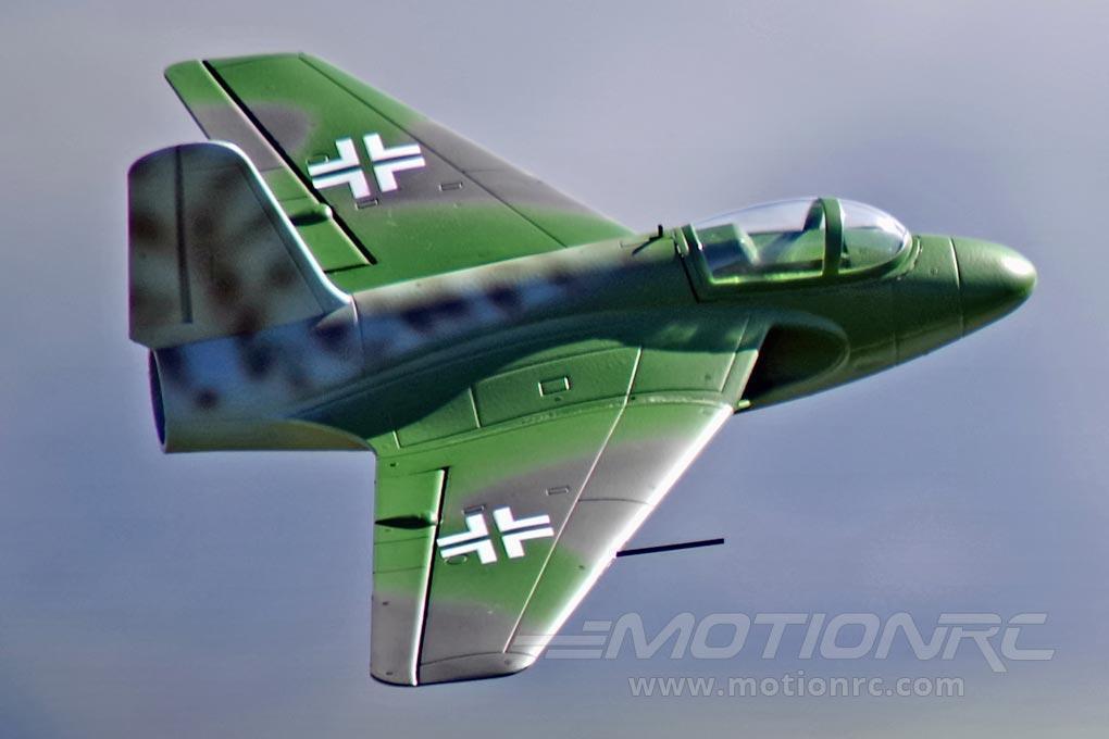 Lippisch P 15 Freewing Model