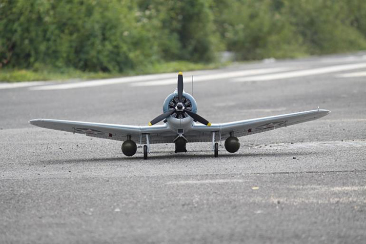 SBD-5 Dauntless Freewing Model