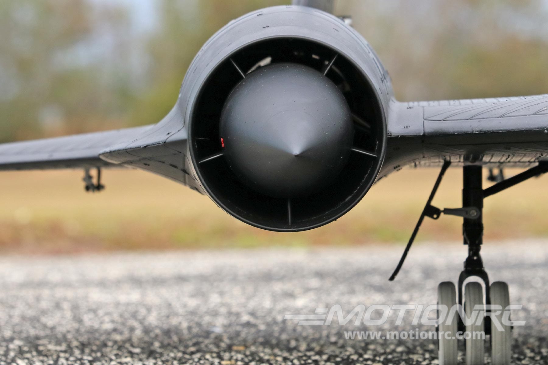 SR-71 Blackbird Twin 70mm Freewing Model