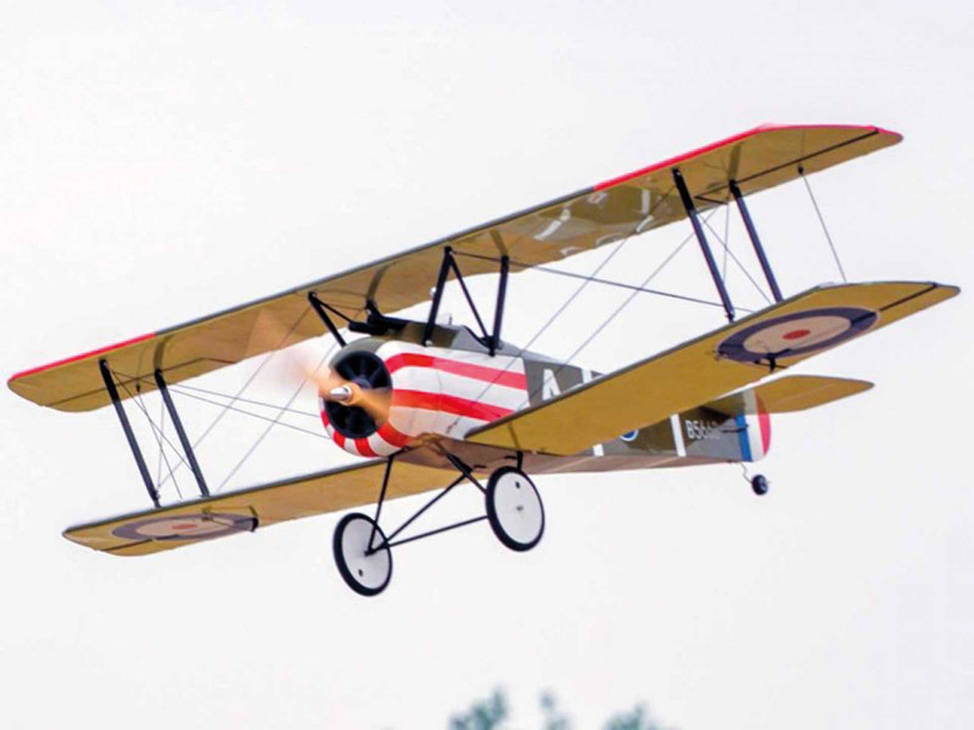 Sopwith Camel PICHLER