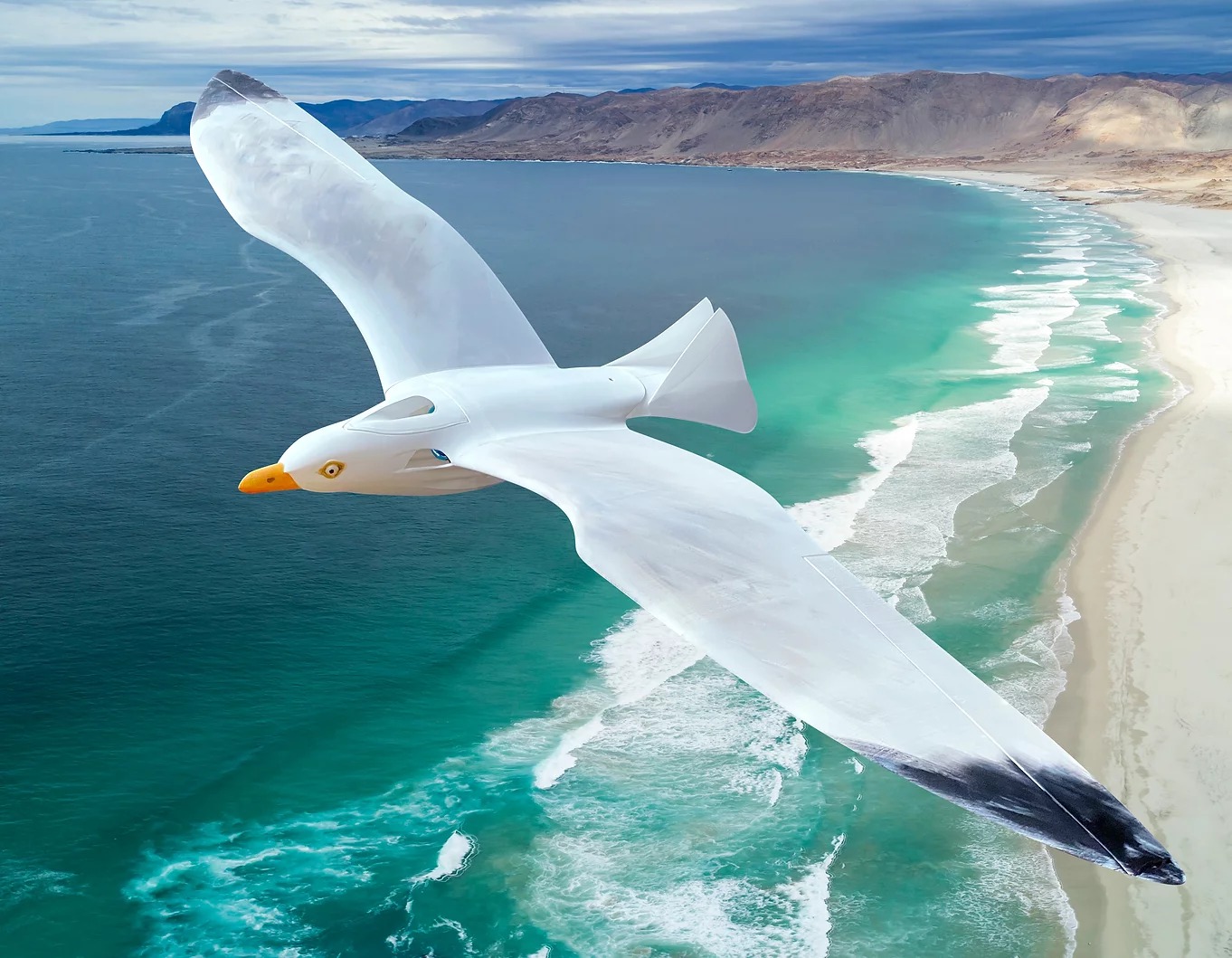 Seagull PLANEPRINT