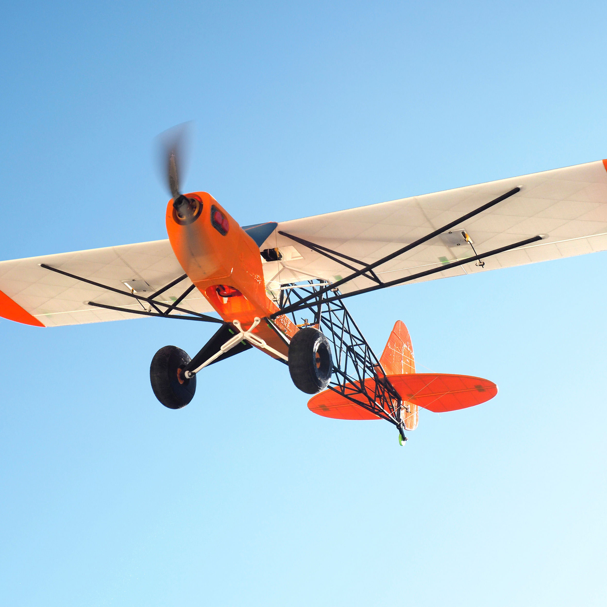 Zlin Savage Bobber PLANEPRINT