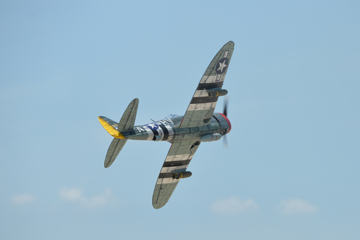 P47 Thunder Bolt Phoenix Model