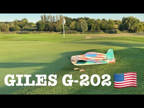 Giles G-202 RC Factory