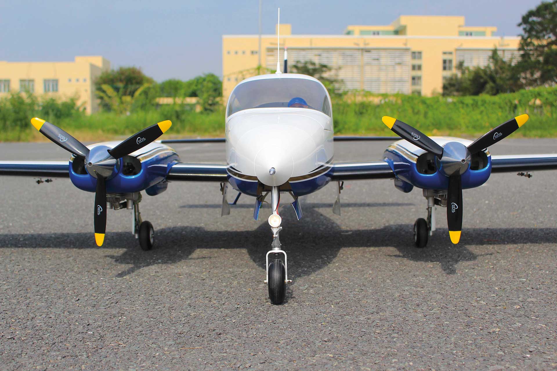 Cessna 310 Giant Twin 81 Seagull Models