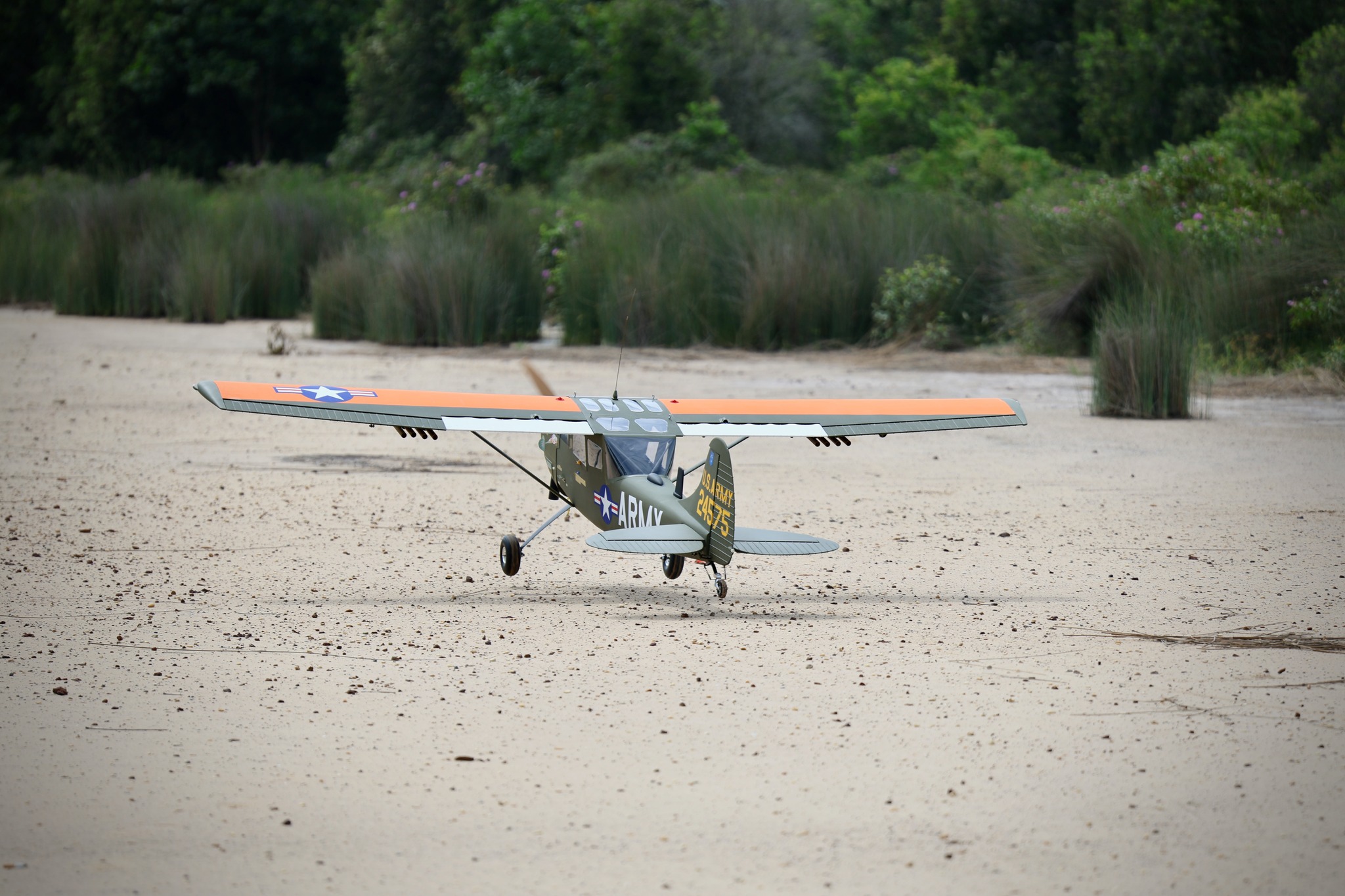 Cessna L-19 Bird Dog 122 Seagull Models