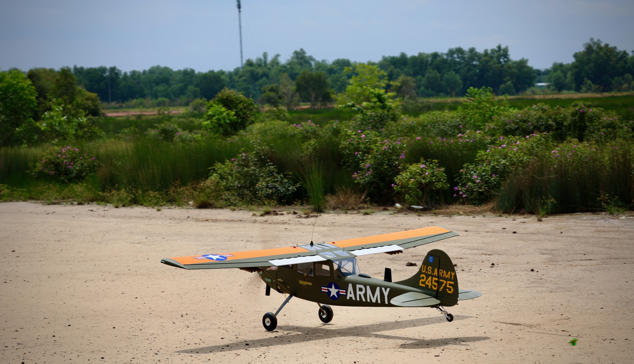 Cessna L-19 Bird Dog 122 Seagull Models