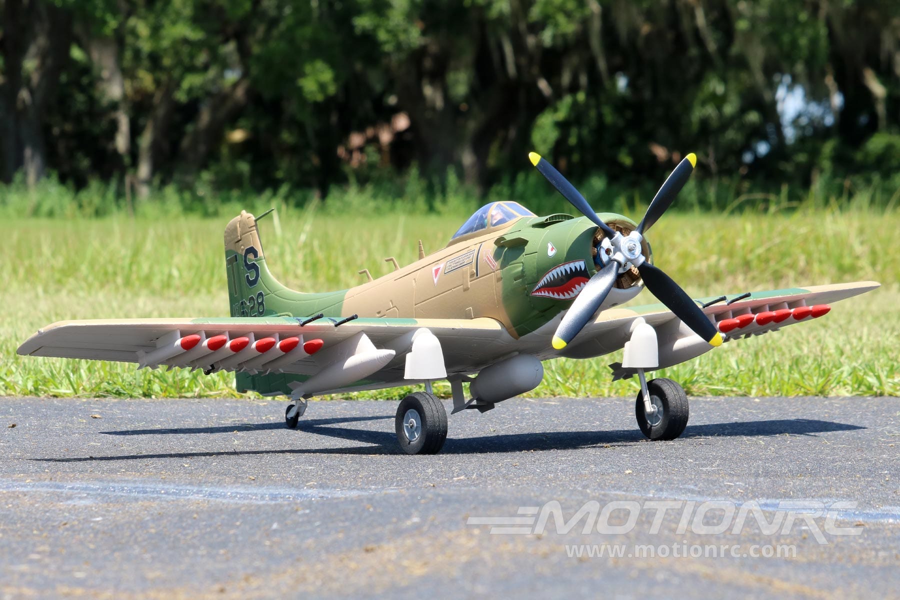 A1 Skyraider Skynetic