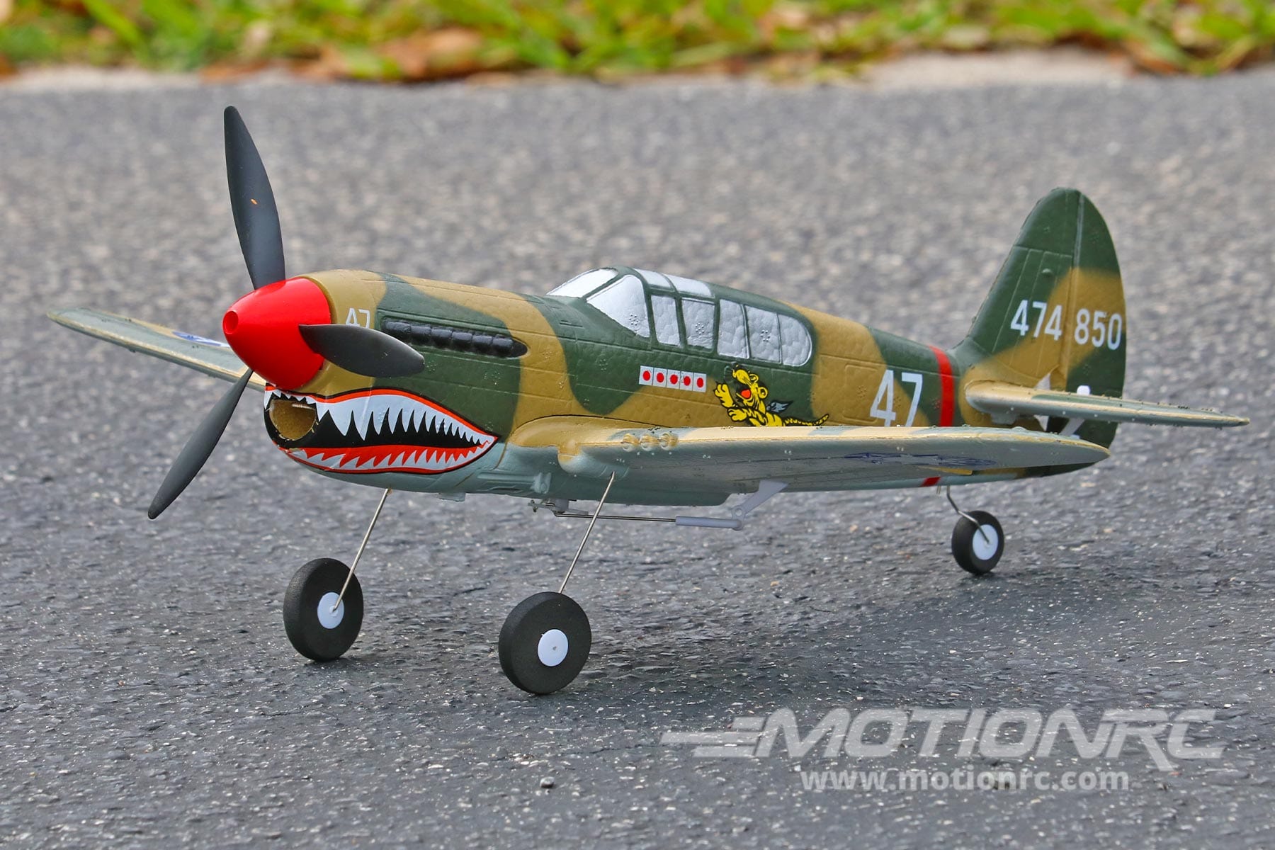 P-40 Warhawk Skynetic