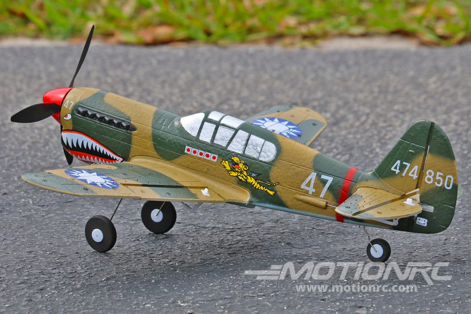 P-40 Warhawk Skynetic