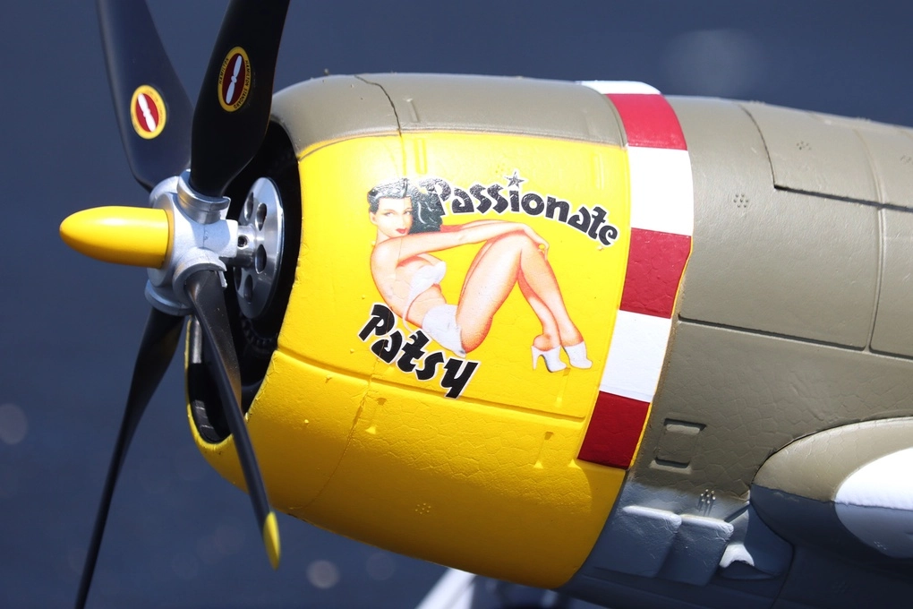 P-47 Thunderbolt Skynetic