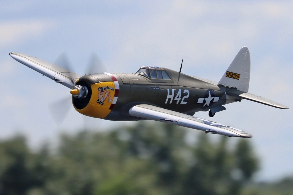 P-47 Thunderbolt Skynetic