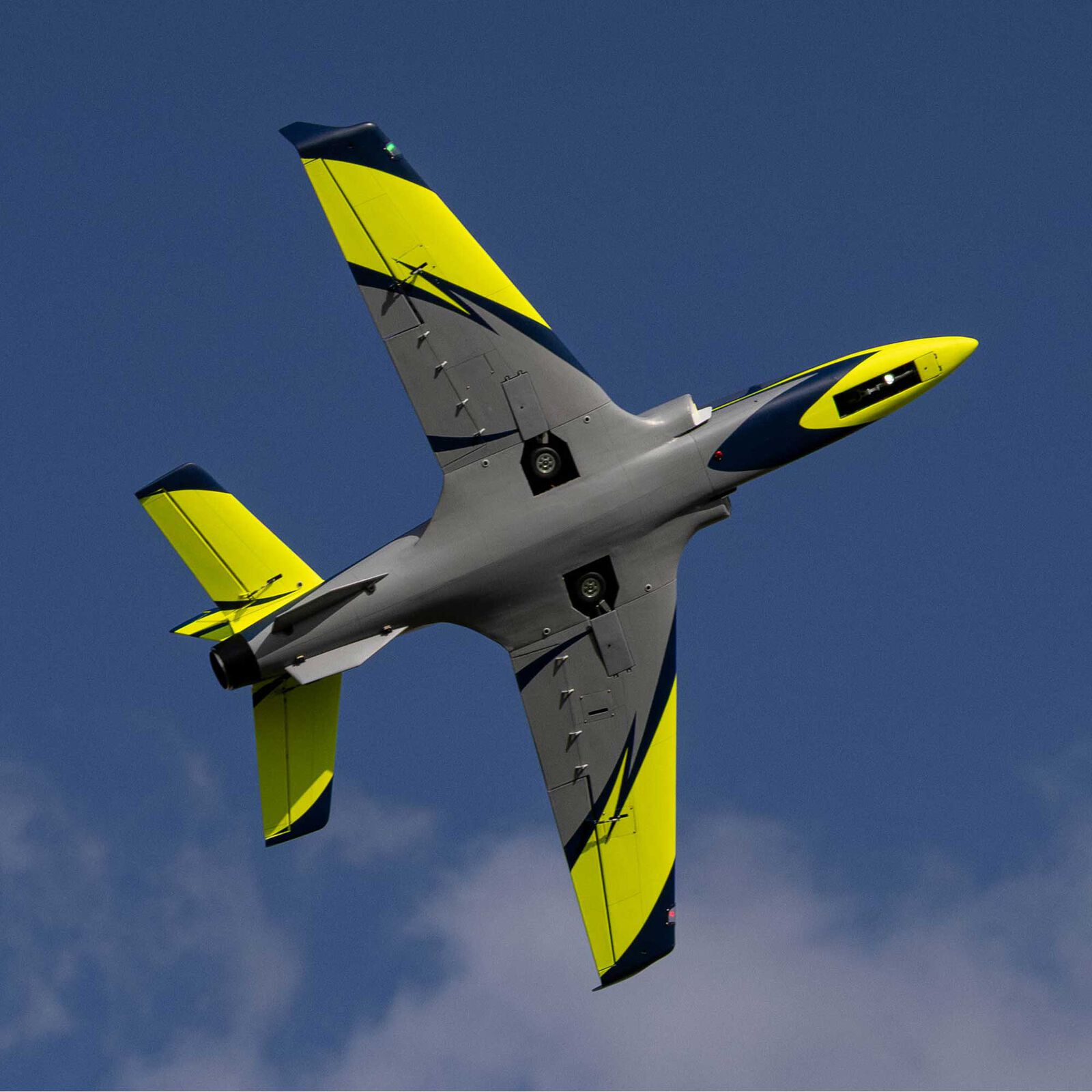 Viper 100N hangar 9