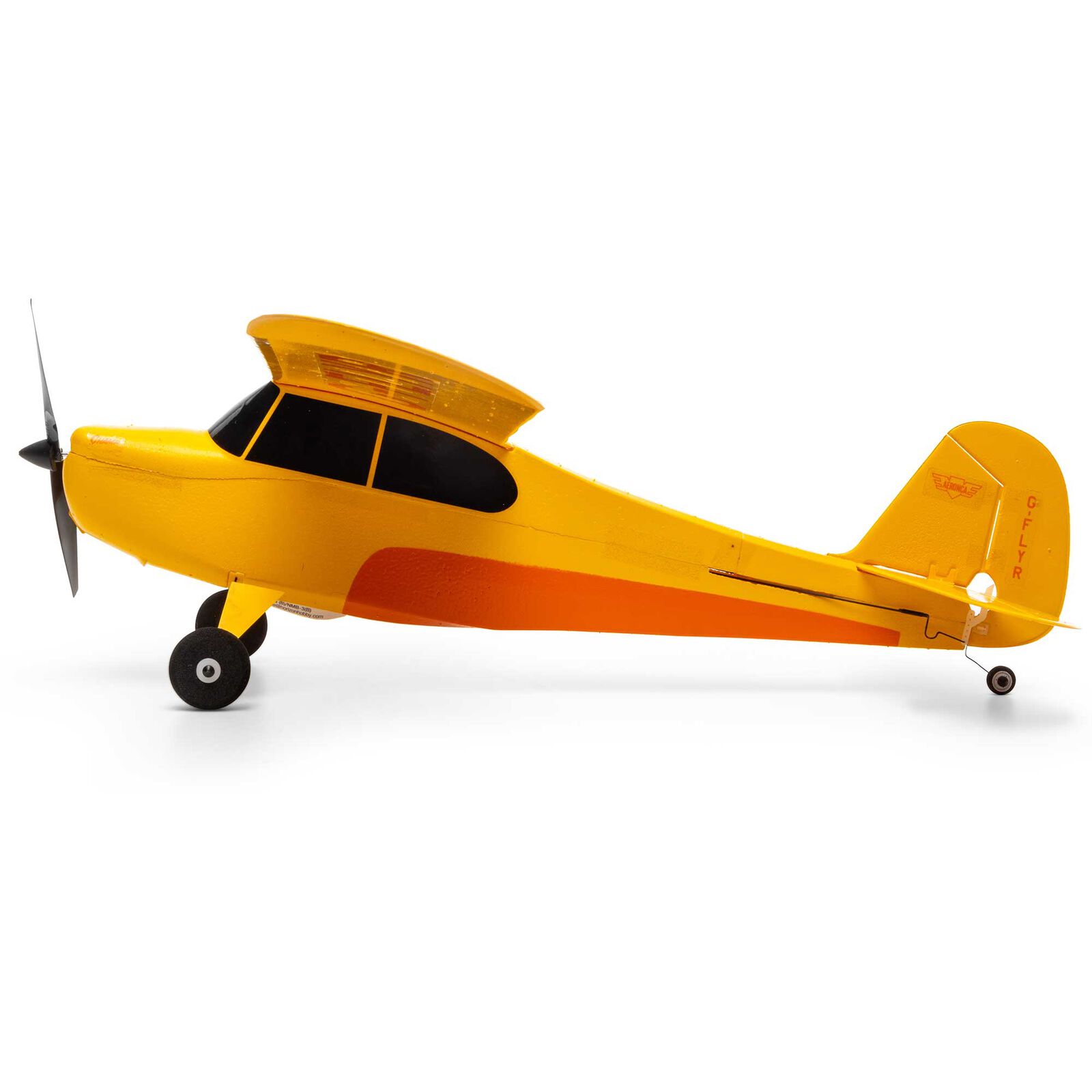 Champ Anniversary Edition hobbyzone