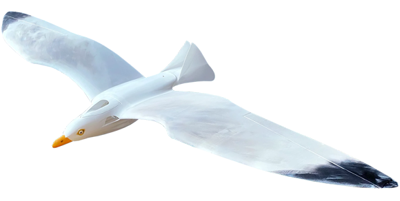 PLANEPRINT Seagull